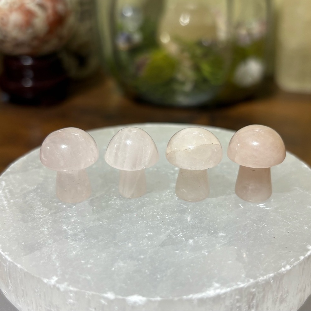 Mini crystal mushroom bundle